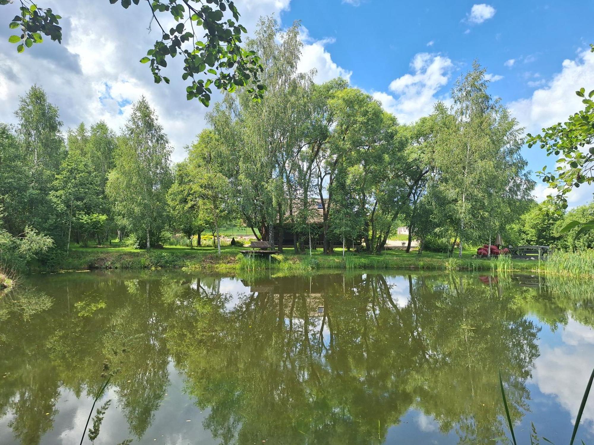 Akmeninis Bebras Villa Zemaiteliai Buitenkant foto