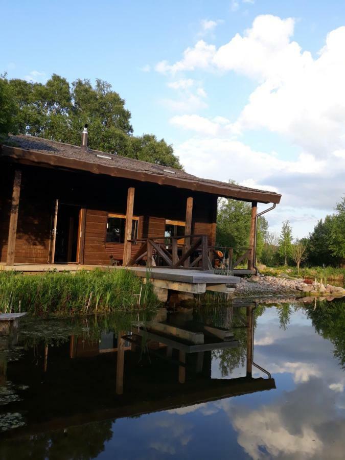 Akmeninis Bebras Villa Zemaiteliai Buitenkant foto